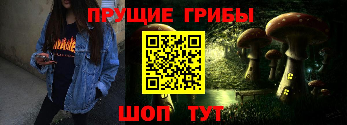 Галлюциногенные грибы Magic Shrooms  Вход с VPN  Галлюциногенные грибы GOLDEN TEACHER  Рубцовск 