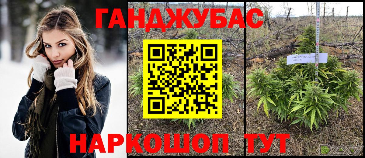 Конопля планчик  Вход с VPN  Марихуана Amnesia  Рубцовск 